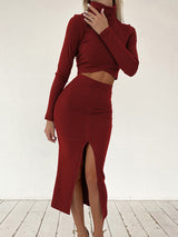 Turtleneck Crop Top Skirt Set