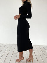 Turtleneck Crop Top Skirt Set