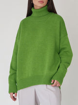 Solid Color Turtleneck Long Sleeve Sweater