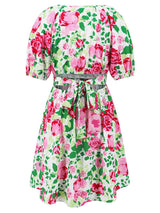 V Neck Flower Print Lantern Sleeve Mini Dress