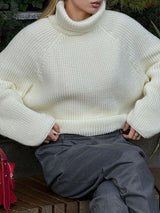 Turtleneck Back Slit Sweater